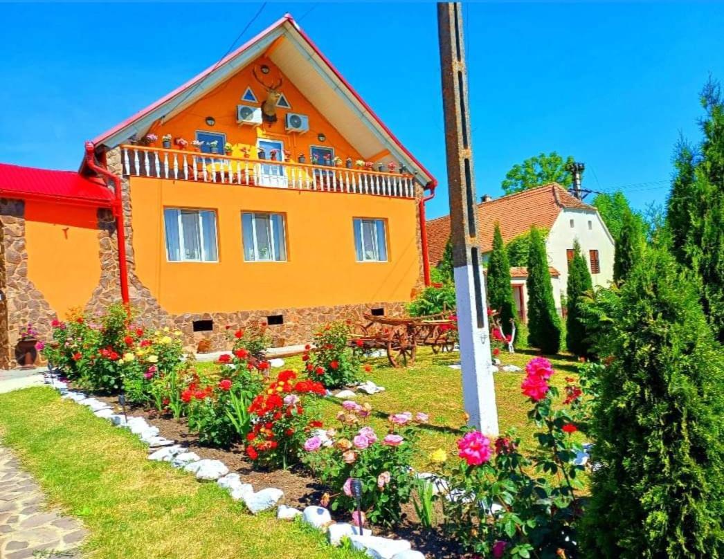 Casa Florilor Barcut Apartman Kültér fotó