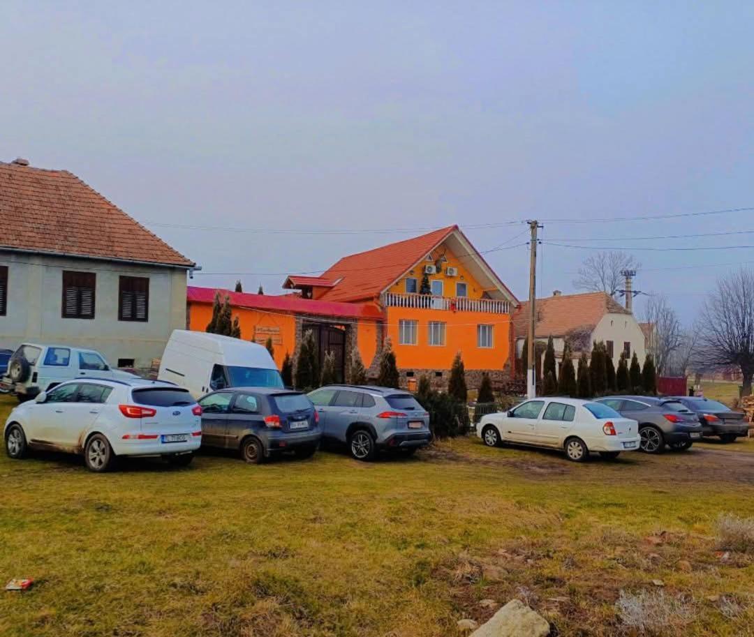 Casa Florilor Barcut Apartman Kültér fotó